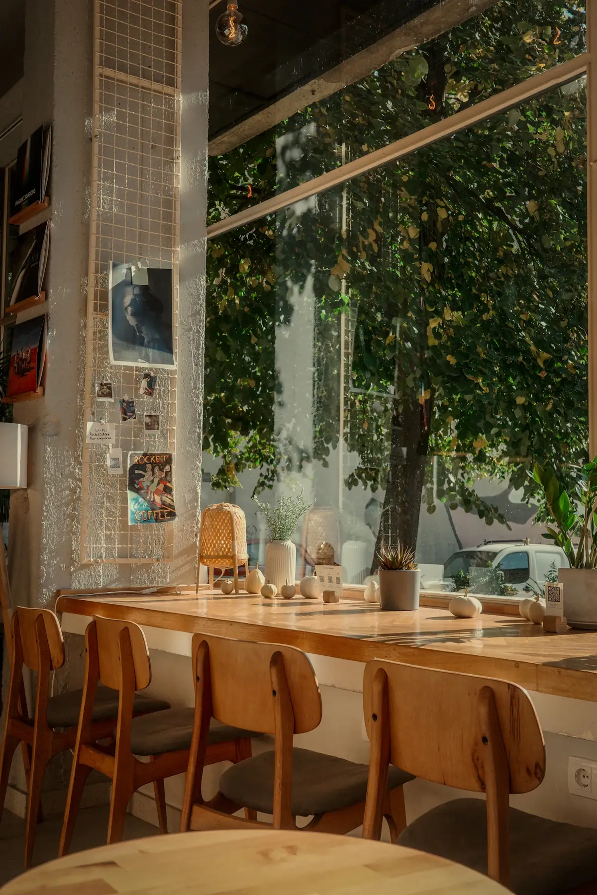 Sunlit window bar with wooden stools and a tree outside